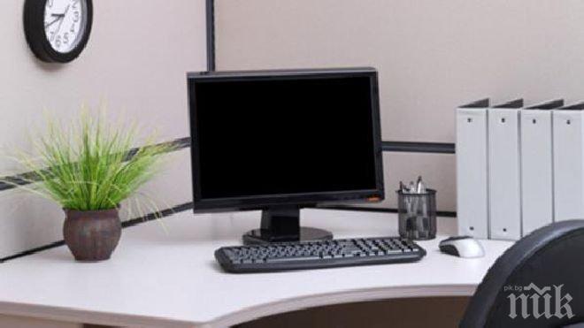 Растенията в офисите повишават продуктивността 
