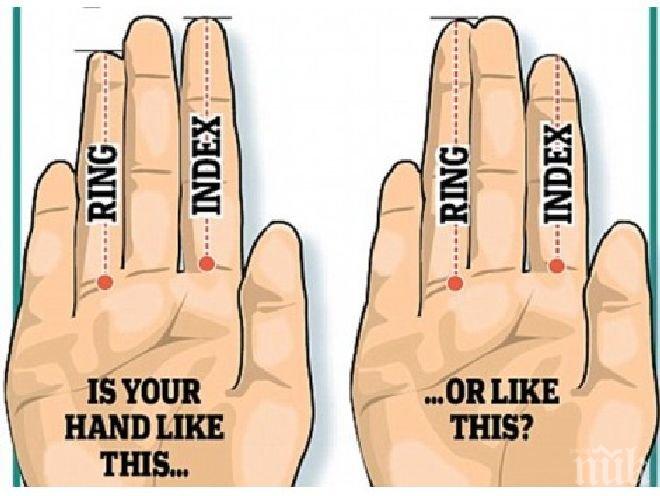 Учени доказаха: Безименният пръст на мъжете има значение