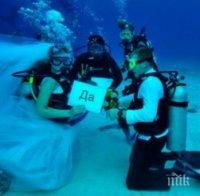 Подводна сватбена фотография - новият хит в Китай
