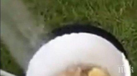 уникално белят няколко кила картофи секунди видео