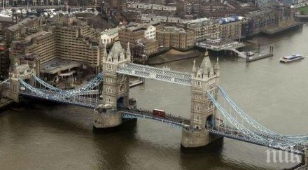 метров хипопотам плува водите темза