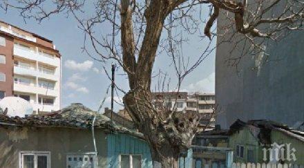 зловеща миризма умряло куче тормози съседи службите реагират