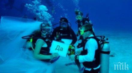 подводна сватбена фотография новият хит китай