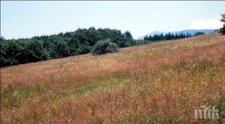 брюксел подхвана заменките