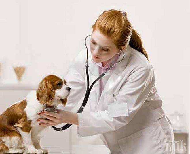 30 ветеринари от Великотърновско участваха в националния протест в столицата