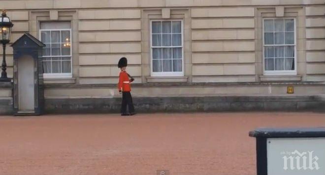 Гвардеец на Елизабет II прави маймунджилъци пред Бъкингамския дворец (видео)