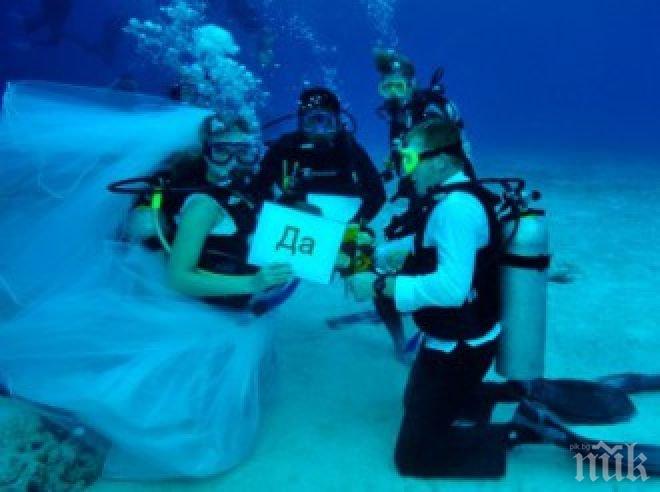 Подводна сватбена фотография - новият хит в Китай
