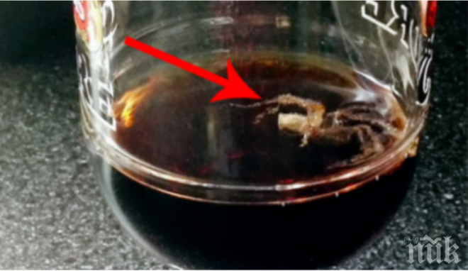 Двойка откри екзотичен паяк в бутилка Кока кола (снимки)