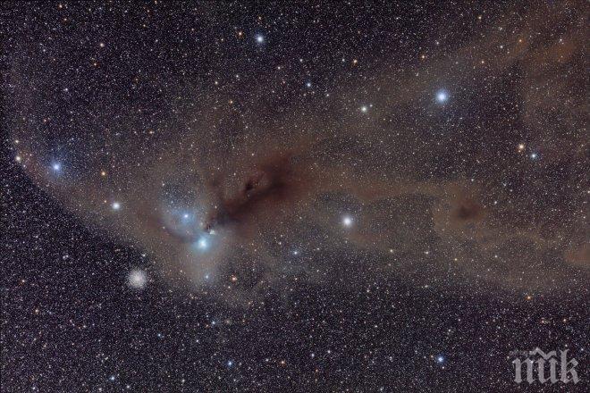 Как изглежда Земята през погледа на астронавтите (видео)