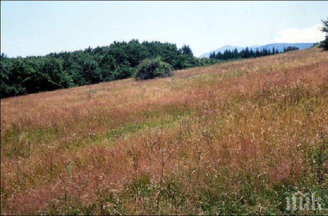 Брюксел ни подхвана за заменките