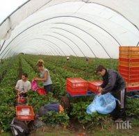 Наръчник учи гурбетчиите да търсят работа