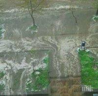 Ужас! Ропотамо преля