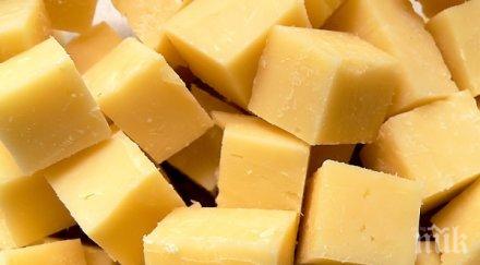 кашкавалът поскъпна стотинки седмица