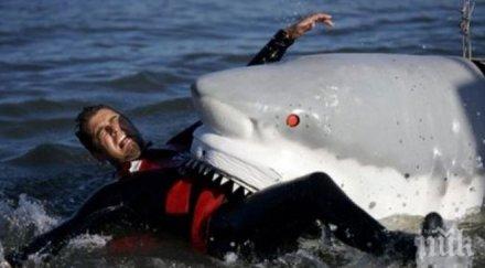 акулите дискриминират сексуално мъжете