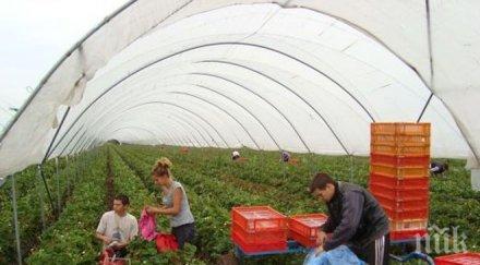 наръчник учи гурбетчиите търсят работа