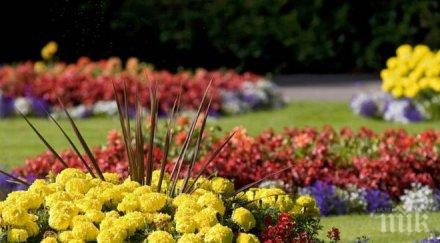 учители отказват букети полза бедстващите