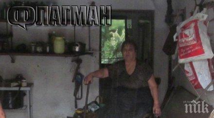 хората ново паничарево ринали кал тиня домовете снимки