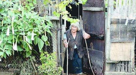 братя роми спасиха годишна старица