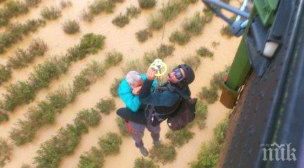 човешката немарливост виновна трагедиите убеден шефът нимх