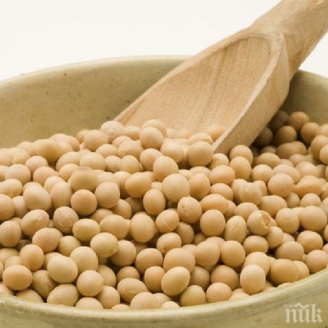 Продуктите, съдържащи соя, ускоряват развитието на рака