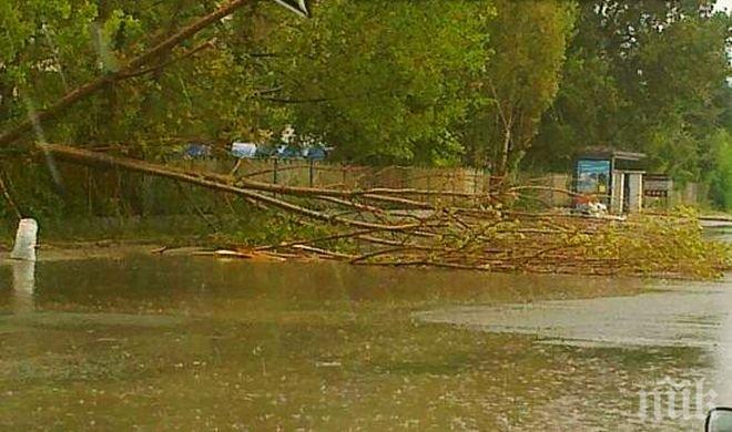 Ново Паничарево: Имаме нужда от храна, вода и топли дрехи