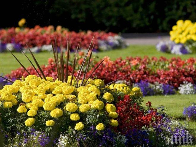 Учители се отказват от букети в полза на бедстващите