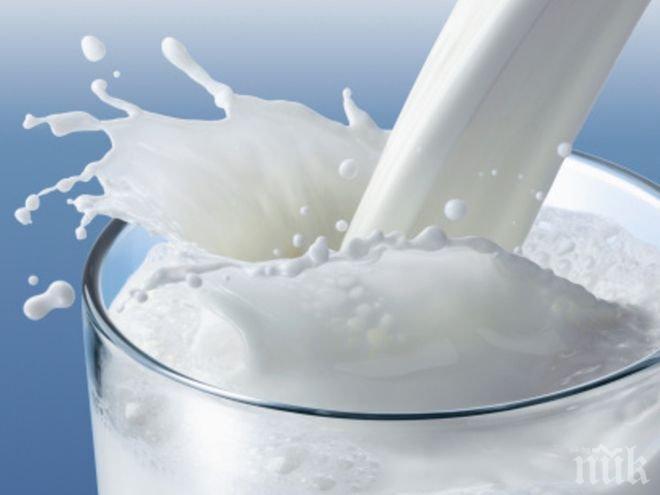 Запасяваме се с млечни продукти заради санкциите на Русия