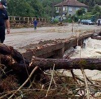 „Дървената“ мафия виновна за потопите