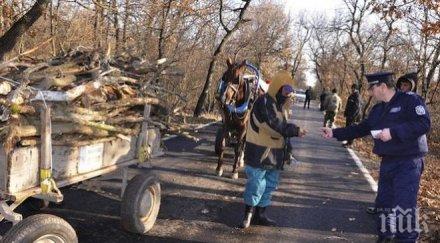 връщат мобилните групи незаконна сеч