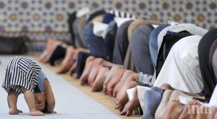 главно мюфтийство тайните ислямски пансиони уволняваме имами