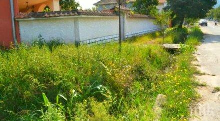 укрепват дерето бузовград