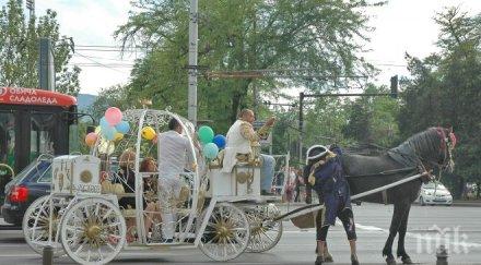 нова атракция софия царска каляска разхожда витошка