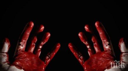 нечуван кошмар баща уби петте невръстни деца