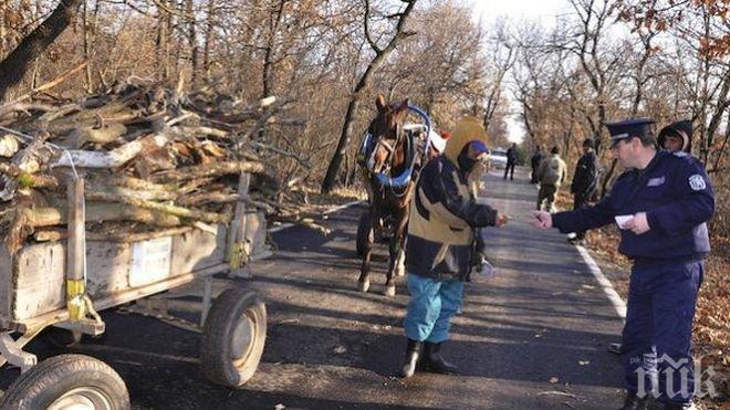 Връщат мобилните групи за незаконна сеч
