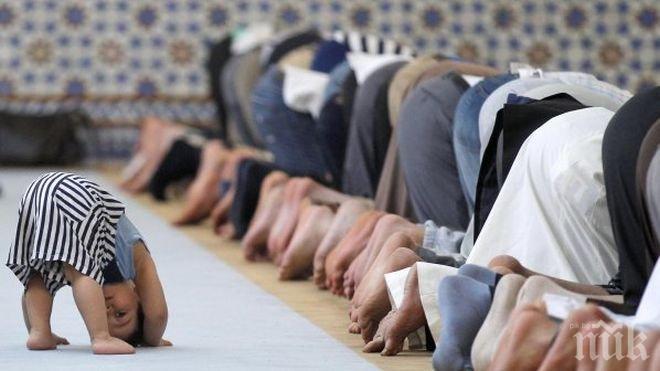 Главно мюфтийство за тайните ислямски пансиони: Ще уволняваме имами