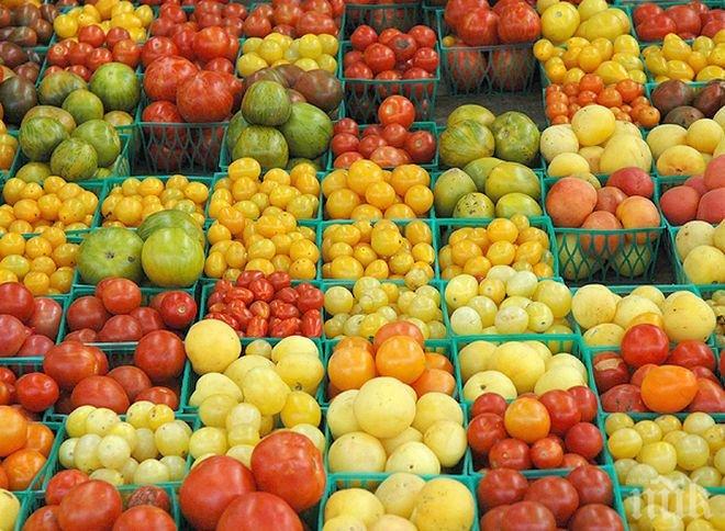 Европейската комисия прекратява помощите за земеделци заради руското ембарго