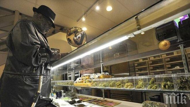 Раздават безплатна трева на бедни в Бъркли