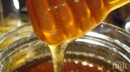 традиционно пчеларско изложение започва пловдив