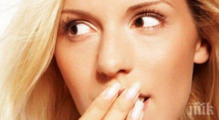 находчива баба изхранва изработка пениси всякакъв размер