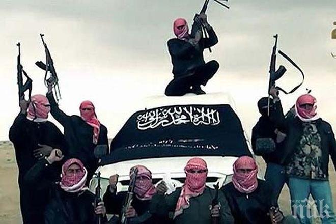 Саудитска Арабия даде терен на сирийската опозиция за обучение