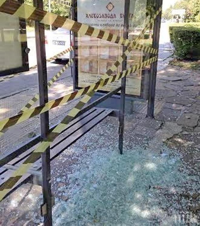 Вандали вилняха из Морската градина в Бургас (снимки)