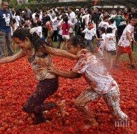 Холандци организират бой с домати като протест срещу Русия