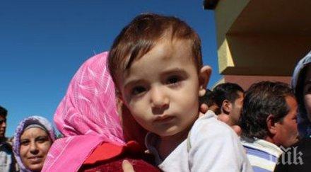 скандал ковачевци пускат деца имигранти училище