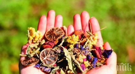 индонезия иска билки тютюн пиринско