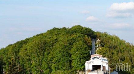 сензация годишно нямo дете проговори дни молитви кръстова гора