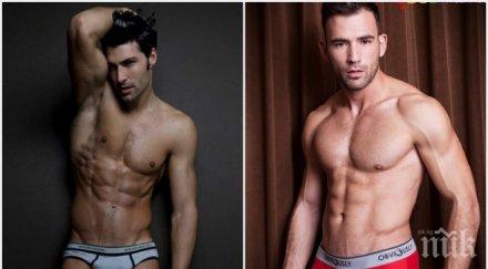 нова мишена златотърсачките секссимволът месечков крие милионер