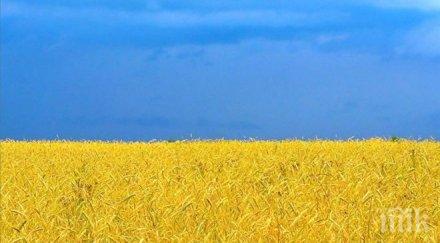 украйна крим севастопол наши руските избори нелегитимни