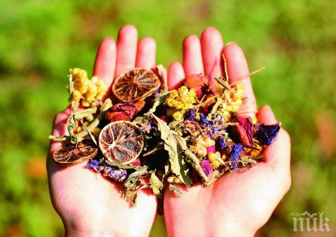 Индонезия иска билки и тютюн от Пиринско