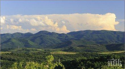 шефът природен парк българка остава поста