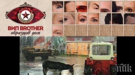 скандал разтресе вип брадър екипа извиняват почитателите вижте